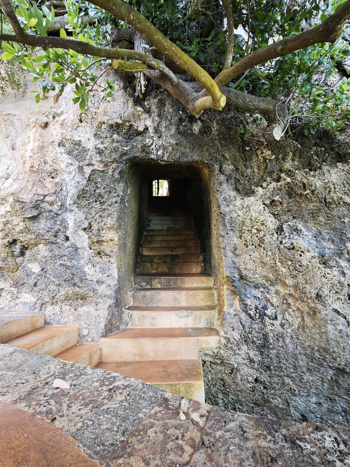 Figgito tiny house, Kilifi North, Kenya